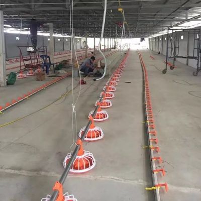 14 kisi Peralatan Peternakan Ayam Broiler 3 pan/3m Peralatan Peternakan Unggas Broiler