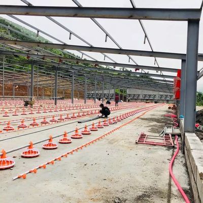 Dia 45mm Mesin Peternakan Unggas Baja Galvanis Untuk Produk Ayam Pedaging