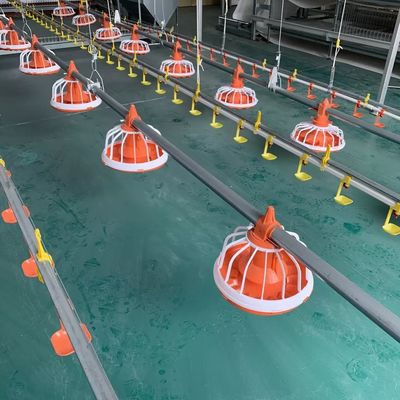 EO Feeding Poultry Farm Equipment Automatic Feeding System Untuk Unggas Garansi 1 Tahun