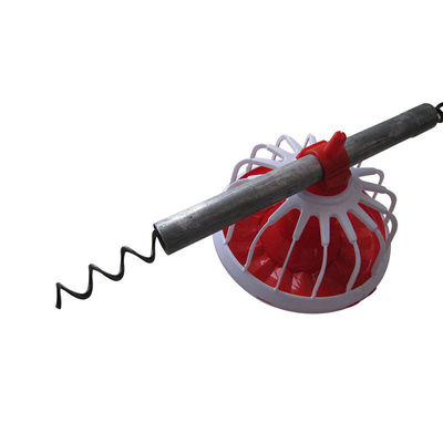 Penggunaan auger Afrika Selatan dalam sistem pemberian makan otomatis