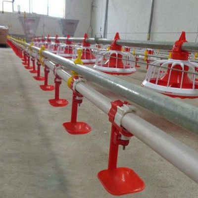Peralatan Peternakan Unggas 380v 3 pan / 3m Sistem Pengumpanan Pan Otomatis