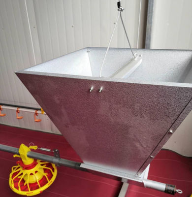 Peternakan Unggas Otomatis Pakan Sistem Pakan Ayam Broiler Breeder Feeding Line