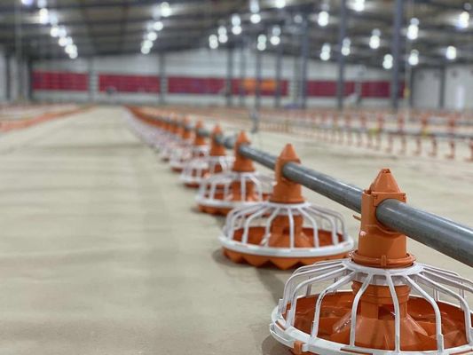 14/16 partisi Peralatan Peternakan Unggas Pengumpan Dan Peminum Ayam Plastik