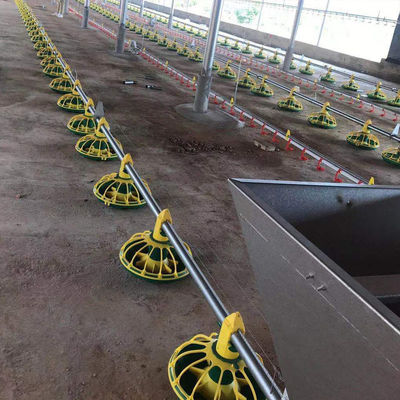 Jalur Pakan Ayam Sepenuhnya Otomatis 14/16 Partisi 450kg/H
