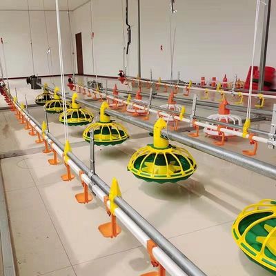 450kg / H Jalur Pakan Ayam Sepenuhnya Otomatis Dengan Hopper Galvanized Pipe