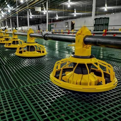 45-65 Peralatan Peternakan Ayam Broiler Sistem Pakan Ayam HX