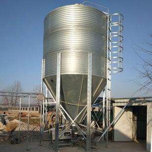 Peternakan Tempat Pakan Pertanian Silo Penyimpanan Gandum Galvanis