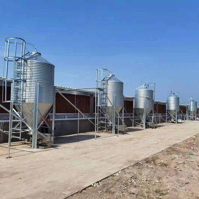 Peternakan Tempat Pakan Pertanian Silo Penyimpanan Gandum Galvanis