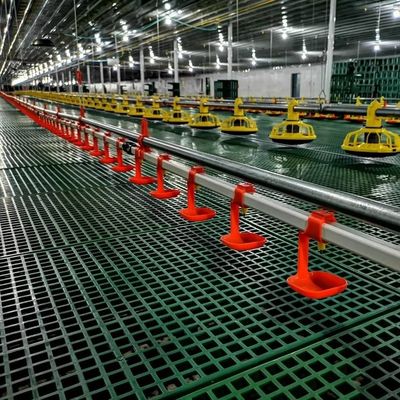 Peralatan Peternakan Ayam HX 4 Lubang / Pipa Pakan 3040mm