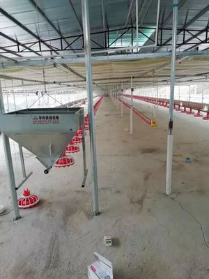 Peralatan Peternakan Unggas Plastik 380v 0.75kw Mesin Pengumpanan Otomatis Untuk Unggas