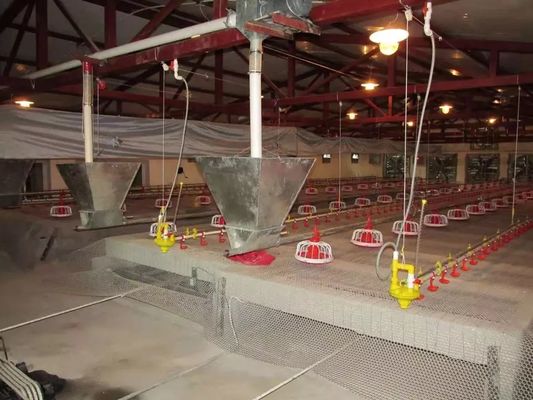 Sertifikasi CE Peralatan Unggas Ayam Instalasi Mudah