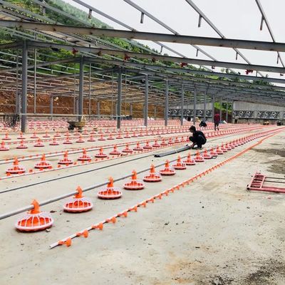 4 Pan / 3m Peralatan Peternakan Unggas 380v Sistem Pemberian Makan Otomatis