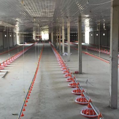 380V 50hz 3 Fase Peralatan Peternakan Unggas Untuk Memberi Makan Broiler Lantai