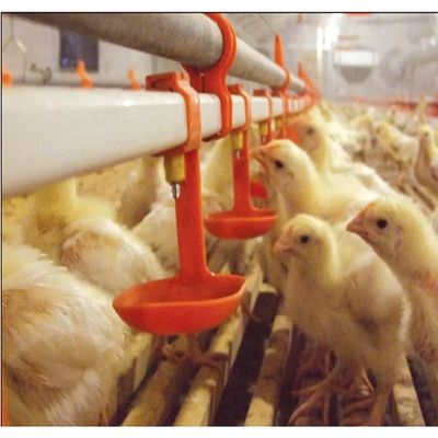 Sistem Peminum Puting Ayam Burung Puyuh Garansi 3 Bulan