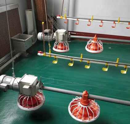 Breeder/Broiler Mesin Peternakan Unggas 14 16 Kompartemen