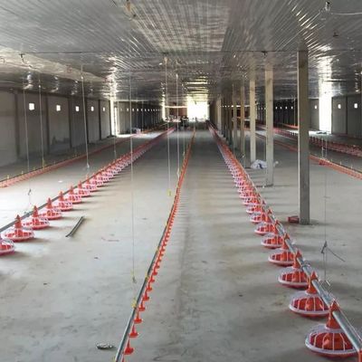 Mesin Peternakan Unggas Pipa Galvanis Sistem Pengumpanan Pan Diameter 45mm