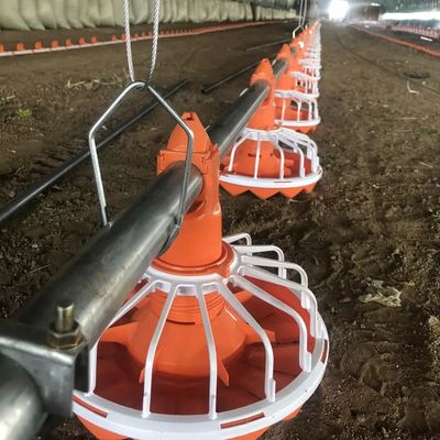 Sistem Pakan Ayam 3 Pan/3m Instalasi Mudah Umur Panjang