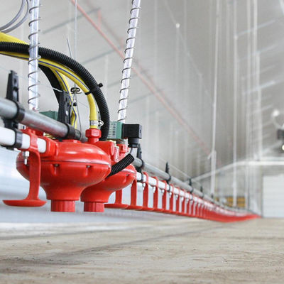 Pengumpan Dan Peminum Unggas Bahan Plastik Waktu Servis Panjang