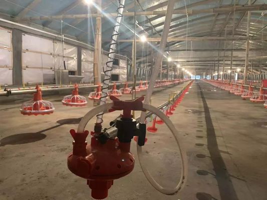 Peralatan Pengumpan Ayam 4 Pan / 3m 380v 0,75kw Dengan Perangkat Penggerak